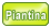 piantina Rosselba Le Palme