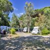 Area camper in campeggio alberato.