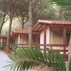 Bungalow in legno con tetti spioventi lungo un sentiero, ombreggiati da pini.