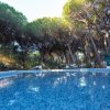 Una piscina con mosaico blu, circondata da alti pini verdi.