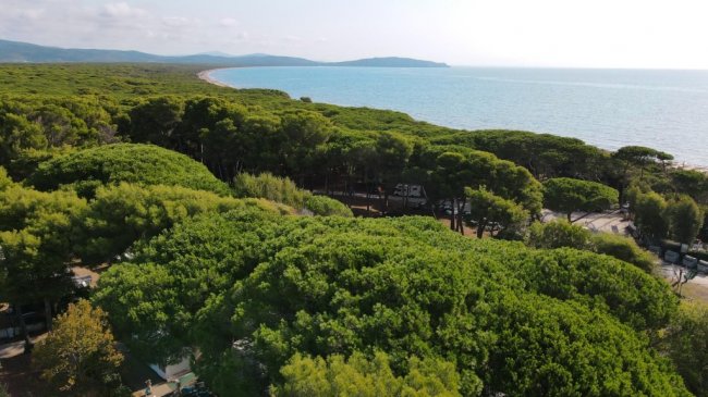 Camping Feniglia