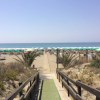 Spiaggia con ombrelloni verdi e passerella in legno.