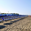 Una spiaggia con file di lettini e ombrelloni blu rivolti verso il mare.
